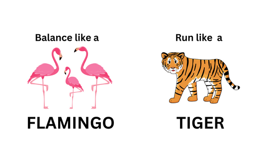 Zoo Animal Game