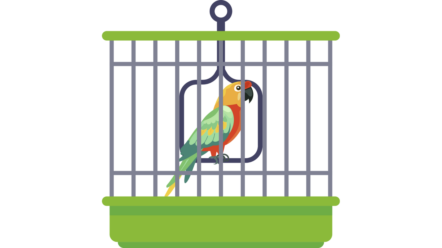 Pet Vet Activities Printables