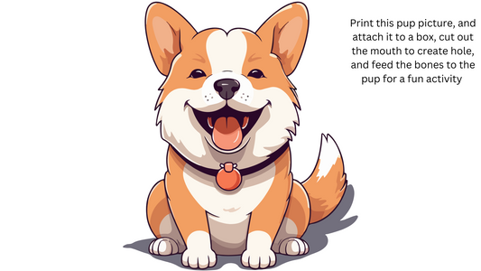 Pet Vet Activities Printables